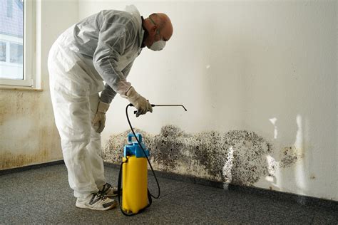 Does Painting Over Black Mold Kill It? Exploring the Myths and Realities of Mold Remediation